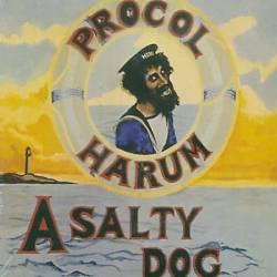 A Salty Dog